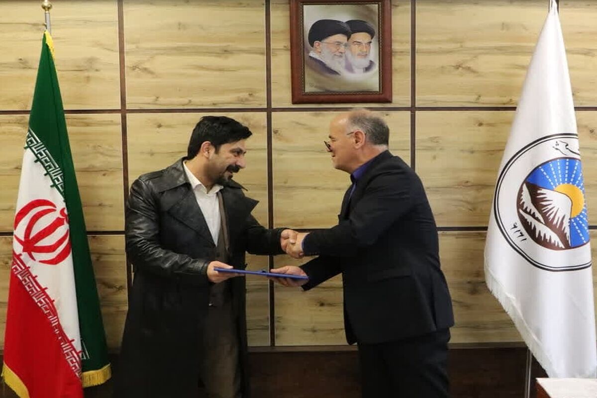 بیمه