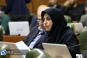 فوریت بهبود فضای عمومی کسب و کارهای فرهنگی و هنری شهری در تهران رای آورد