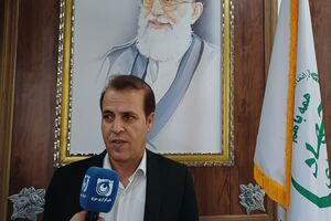 ذخایر کالاهای پروتئینی و نهاده‌های دامی ایلام برای اربعین در وضعیت مطمئن قرار دارد