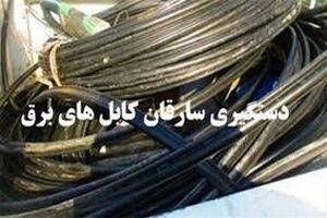 2سارق سیم کابل برق در ساری دستگیر شدند