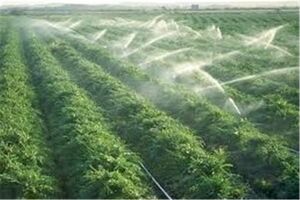 روش‌های آبیاری اراضی کشاورزی استان اصفهان اصلاح می‌شود