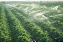 روش‌های آبیاری اراضی کشاورزی استان اصفهان اصلاح می‌شود