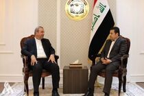 سفیر ایران در عراق خواستار تامین امنیت مرزهای ایران و عراق شد