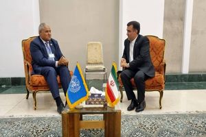 جهت احیای جنگل‌های زاگرس خواستار همکاری فائو هستیم