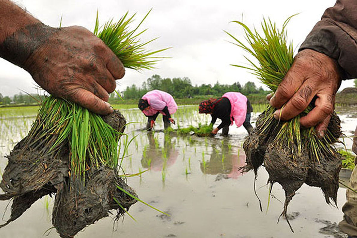 محصولات آبدوست لرستان