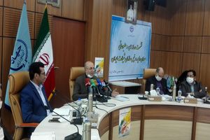 قیمت آبزیان متناسب با عرضه و تقاضا مناسب است /440 میلیون دلار تراز تجاری شیلات