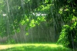 احتمال وقوع رگبار، رعد و برق و وزش باد شدید در مشهد