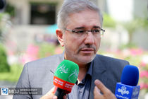 برنج مشمول خرید تضمینی نیست/ حفظ 80 درصدی لایحه برنامه هفتم در کمیسیون تلفیق