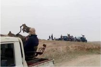 زندانیان داعش تابع قوانین بغداد هستند