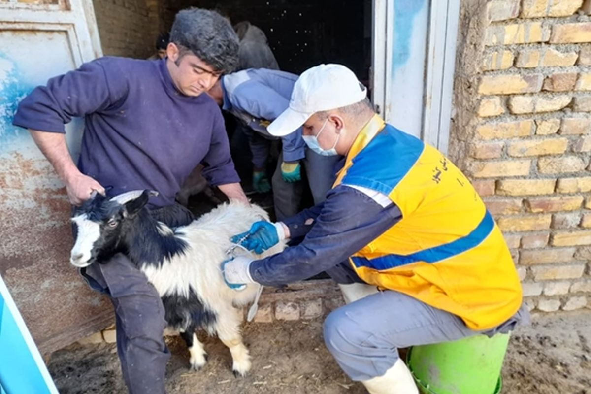 واکسیناسیون