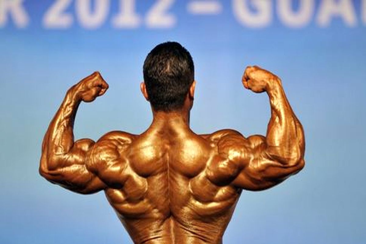 پرورش اندام