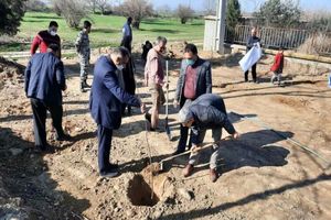 زراعت چوب در ۱۰۳ هکتار اراضی گلوگاه/ کاشت ۴۰۰ نهال در طرح نهضت سبز