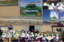 برگزاری برنامه های متنوع در شهرستان تیران و کرون 