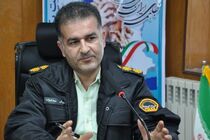 انهدام باند قاچاق چوب در آمل؛ ۳ نفر بازداشت شدند