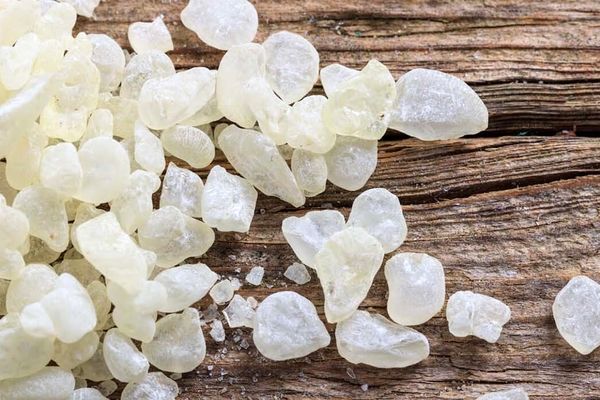 مضرات مصرف مصطکی