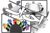 مشاور رئیس‌جمهور بر نقش تشکل‌ها در تصمیم‌سازی‌های کلان کشور تأکید کرد