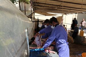 ۴۵۰ پایگاه و قربانگاه های کمیته امداد استان اصفهان پذیرای نذورات خیران
