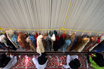 تجهیز کارگاه‌های فرش‌بافی بشاگرد با یک میلیار تومان اعتبار