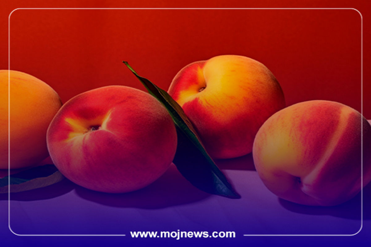 کاور اینفوی هلو موج