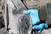 ۷ شهید مدافع سلامت در حملات جنایتکارانه آمریکایی صهیونیستی