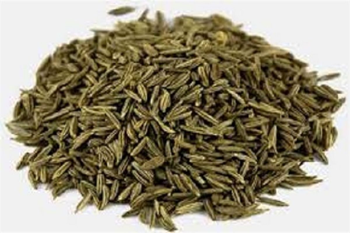 اصفهان- زیره