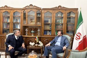 ظرفیت های بالایی در تعاملات بین ایران و برزیل وجود دارد