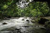 اخذ سند مالکیت برای ۹۰ هکتار از ارضی بستر رودخانه های کوثر