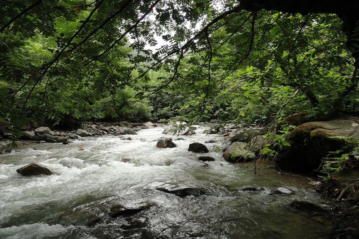 اراضی بستر رودخانه ها