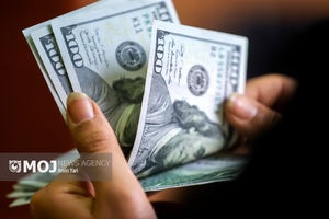 جدیدترین قیمت ارزها در بازار آزاد امروز ۱۱ بهمن ۱۴۰۴