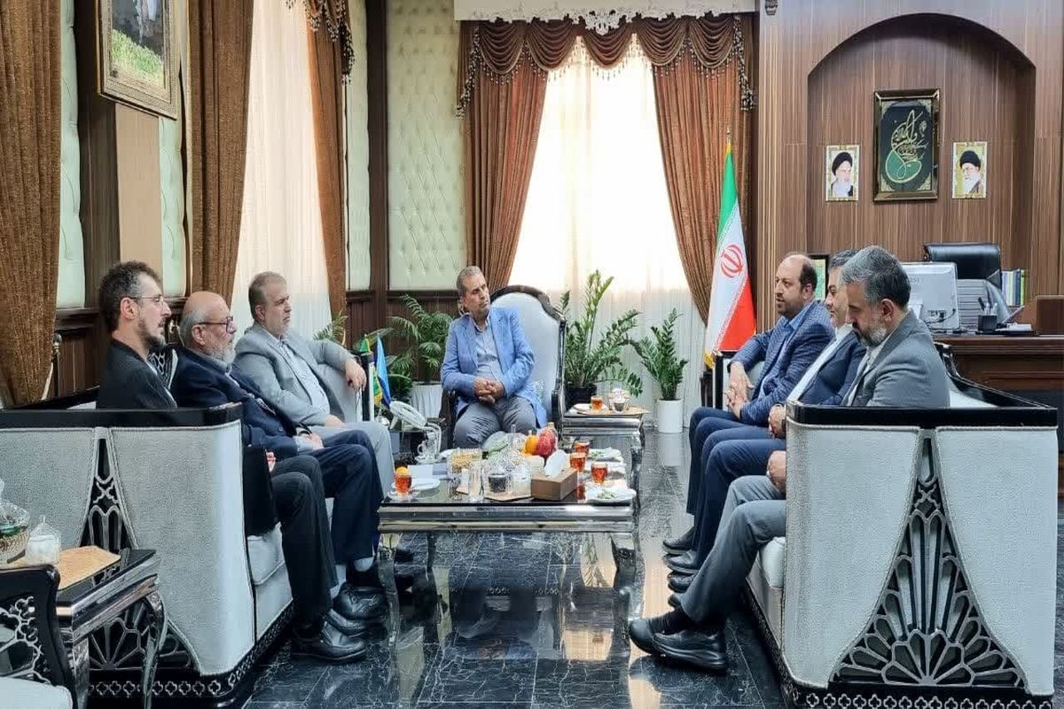 مدیرعامل ستاد دیه کشور