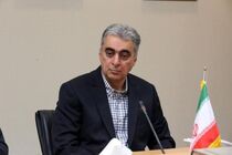 سال آینده سه کارخانه جدید کنسانتره مس در کرمان افتتاح می شود