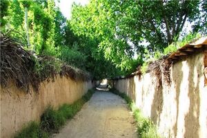 باغات شیراز در مسیر تبدیل شدن به دهکده‌های گردشگری پایدار