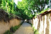 باغات شیراز در مسیر تبدیل شدن به دهکده‌های گردشگری پایدار