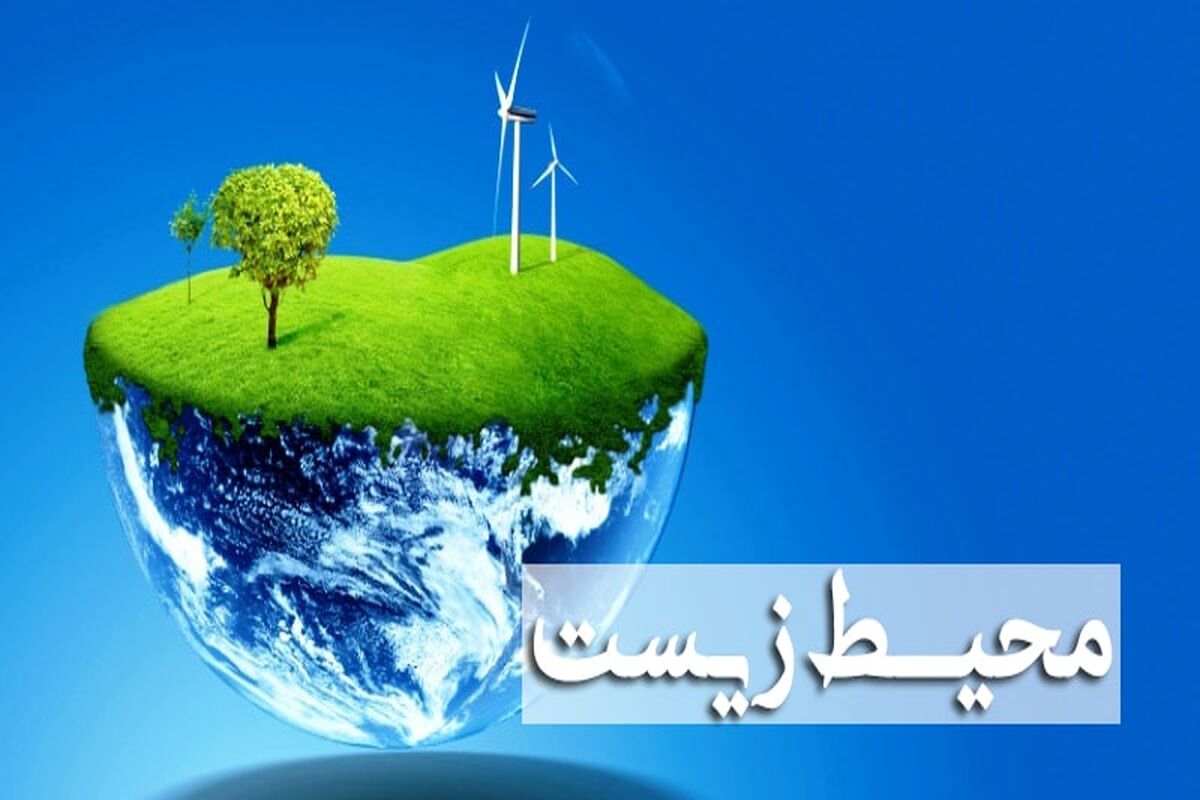 محیط زسیت