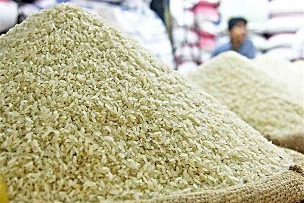 توزیع ۱۰۰ هزار تن برنج از محل موجودی شرکت بازرگانی دولتی در بازار از سوی هیات وزیران تصویب شد