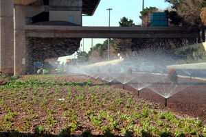 احداث بیش از 8 هزار متر مربع فضای سبز در بلوار شهدای نیروی انتظامی