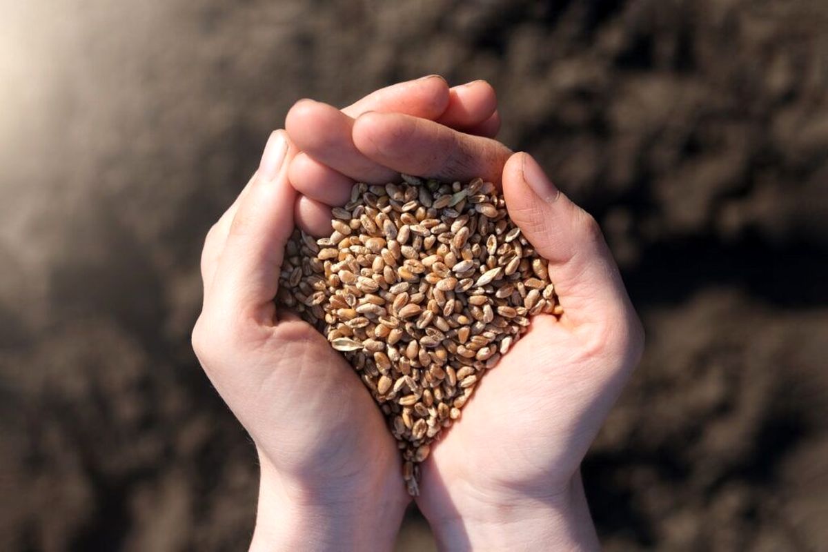 تقویت-امنیت-غذایی-کشور-و-رفع-موانع-تولیدات-کشاورزی