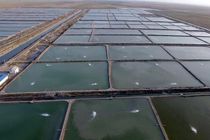 هرمزگان در مسیر توسعه پایدار و تبدیل شدن به قطب آبزی‌پروری کشور