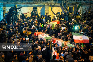 از ۳۱۱۷ نفر جان باخته حوادث تروریستی دی ماه، ۲۴۲۷ نفر شهید شدند