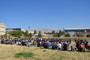 اجرای طرح آرامش در شهر/جمع‌آوری یک هزار و ۵۰۶ معتاد متجاهر و خرده فروش در شیراز