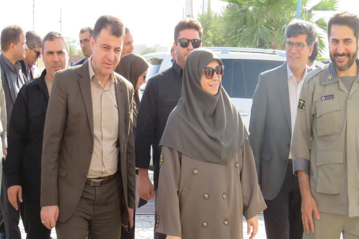 شینا انصاری