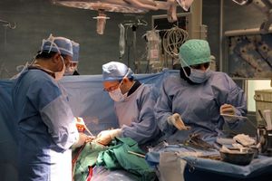 انجام عمل توراکوتومی در بیمارستان پیامبر اعظم (ص) قشم