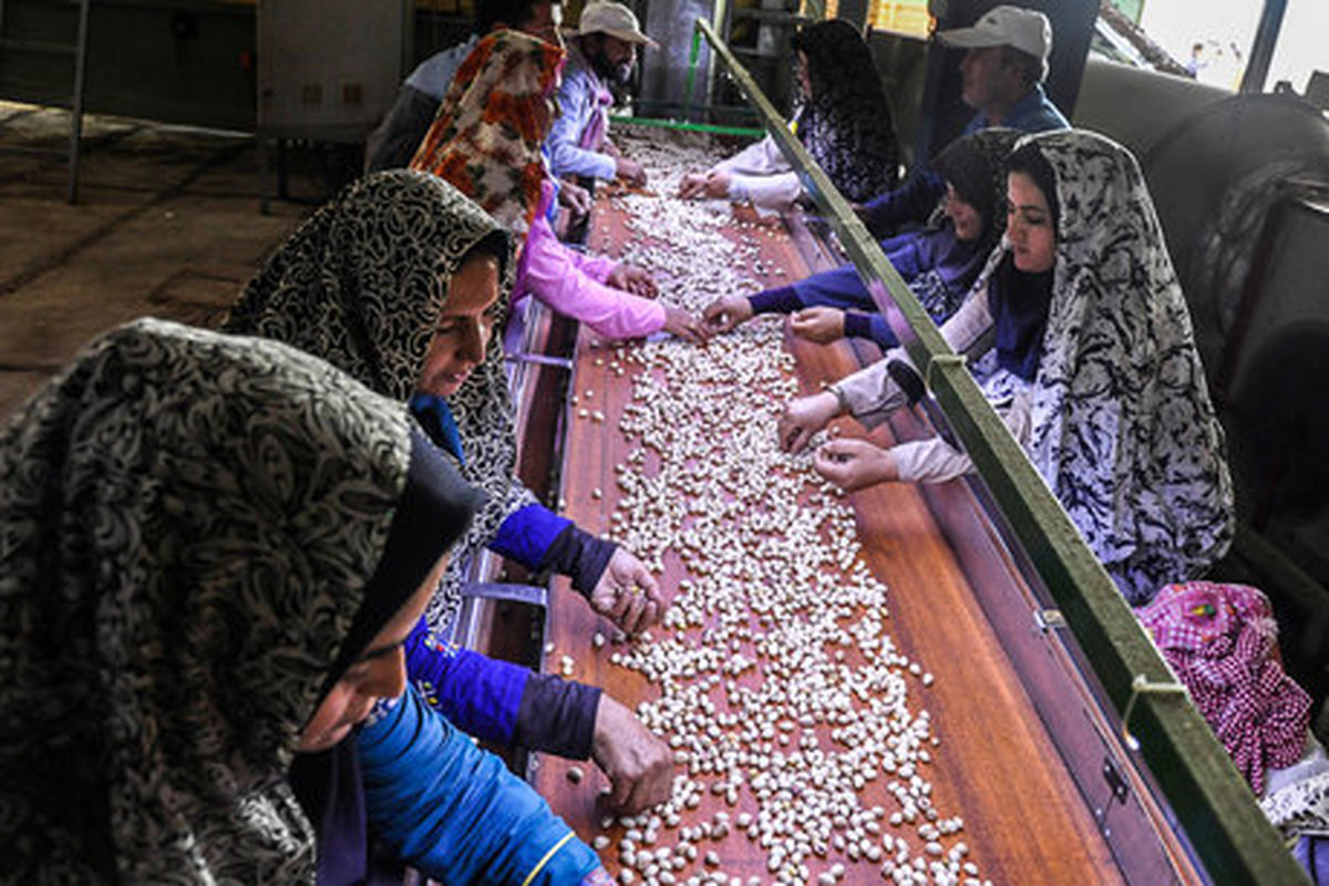 اشتغال پایدار