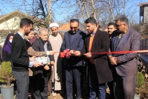 آغاز طرح کشت سوزنی‌برگ و نوئل آبی در کلاردشت