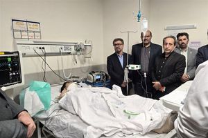 نایب قهرمان کینگ بوکسینگ جهان دار فانی را وداع گفت