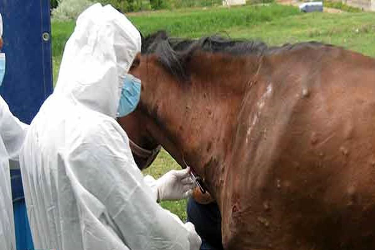 واکسیناسیون