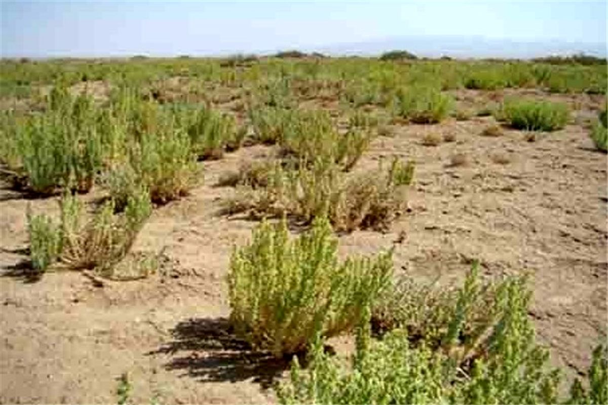 ۳۰۰ هزار هکتار از اراضی شمال گلستان