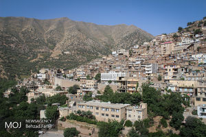 سازمان میراث فرهنگی تاکنون اقدامی برای مقررات زدایی انجام نداده است