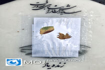 آسوده بخواب