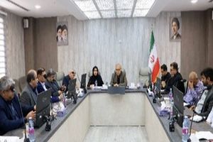 ذخایر کالاهای اساسی کافی است/ پیگیر مجوز واردات لوازم خانگی هستیم